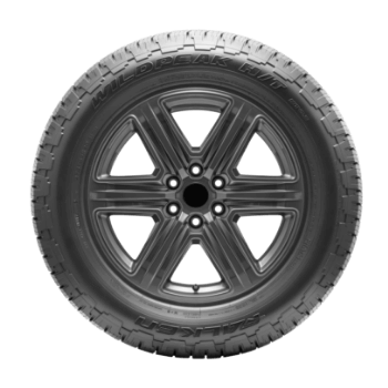 225/75R16 - C E WILDPEAK H/T02 HD BSW