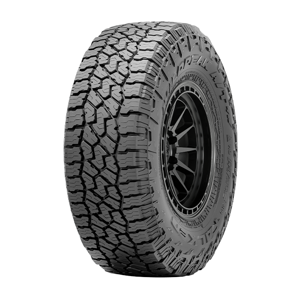 35X1.250R22 - WILDPEAK